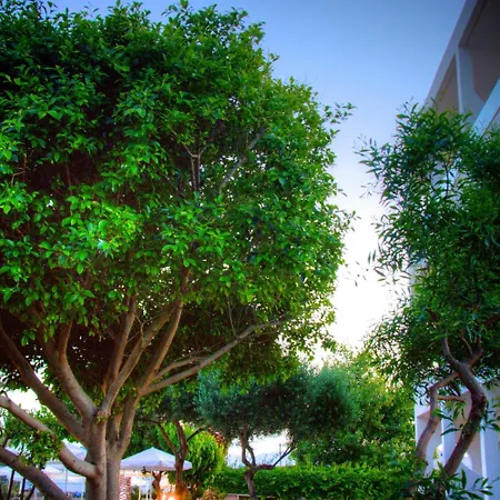 Solimar Dias Rethymno